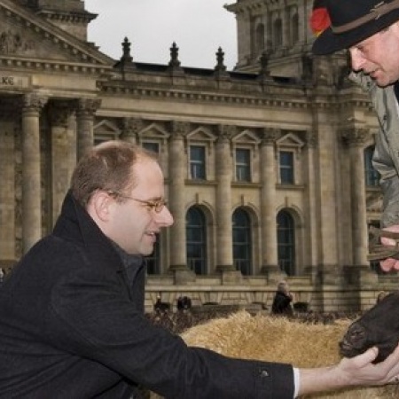 Größeres Bild ansehen